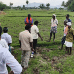 உசிலம்பட்டி அருகே கோவிலுக்கு சென்று வர சாலை அமைக்க கோரிக்கை: