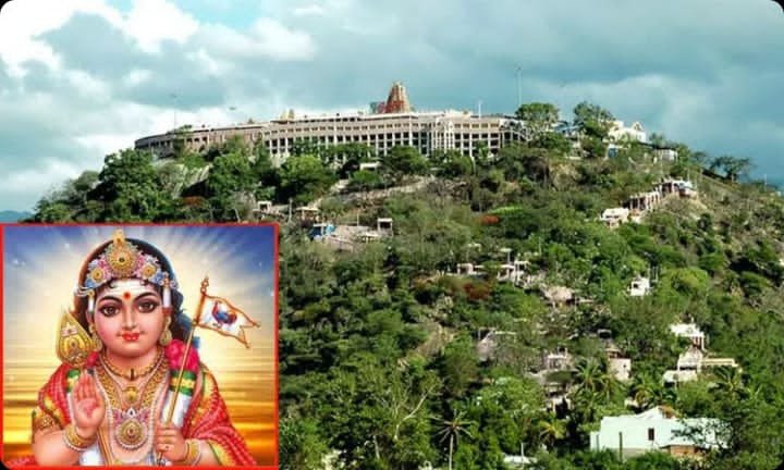 பழனி முருகன் கோவிலில் கார்த்திகை தீபத்திருவிழா 27-ந்தேதி தொடக்கம் ....