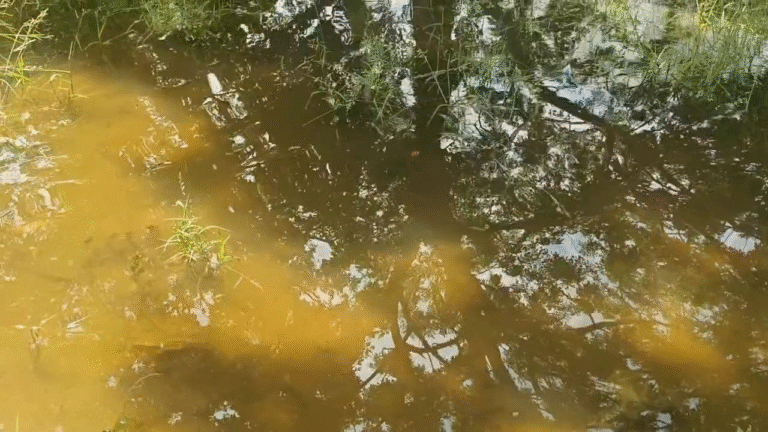 மதுரை திருப்பரங்குன்றம் அருகே பாசன கால்வாயில் உடைப்பு ஏற்பட்டு குடியிருப்பு பகுதிக்குள் புகுந்த நீர்...