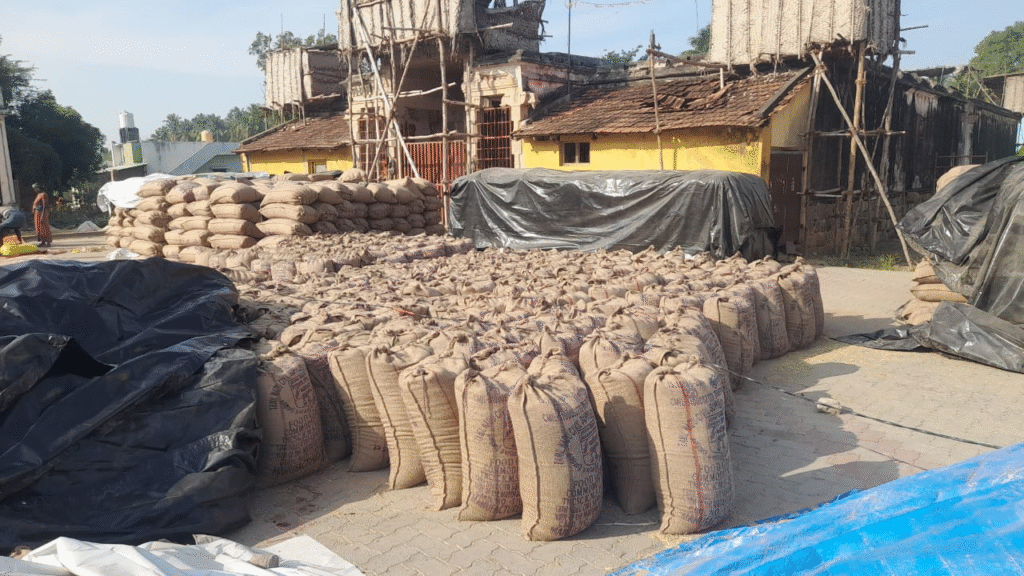 சோழவந்தான் அருகே கருப்பட்டி கிராமத்தில் கொள்முதல் செய்யாததால் 2000 மூட்டைகள் தேக்கம் அறுவடைக்கு தயாராக உள்ள நெற் கதிர்களை அறுவடை செய்ய முடியாமல் விவசாயிகள் வேதனை...