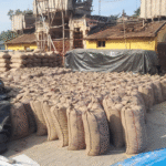 சோழவந்தான் அருகே கருப்பட்டி கிராமத்தில் கொள்முதல் செய்யாததால் 2000 மூட்டைகள் தேக்கம் அறுவடைக்கு தயாராக உள்ள நெற் கதிர்களை அறுவடை செய்ய முடியாமல் விவசாயிகள் வேதனை...