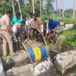 சோழவந்தானில் கழிவு நீர் கால்வாயில் விழுந்த சினை பசுமாடு பத்திரமாக மீட்பு...