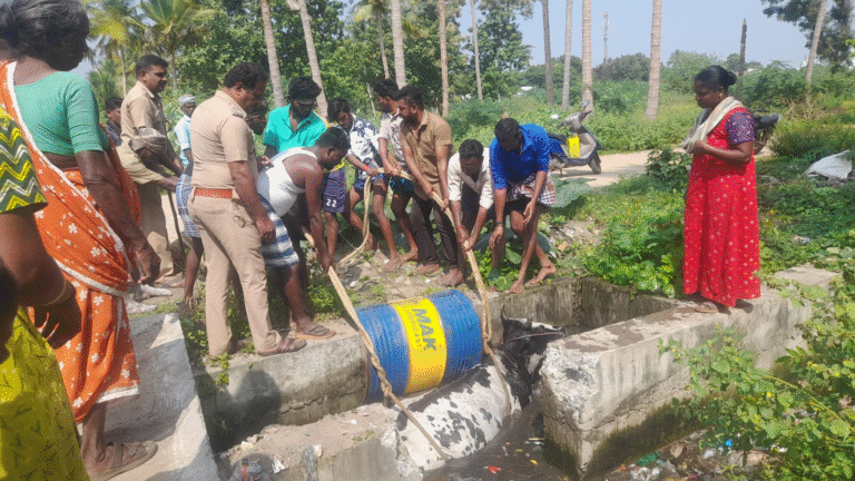 சோழவந்தானில் கழிவு நீர் கால்வாயில் விழுந்த சினை பசுமாடு பத்திரமாக மீட்பு...